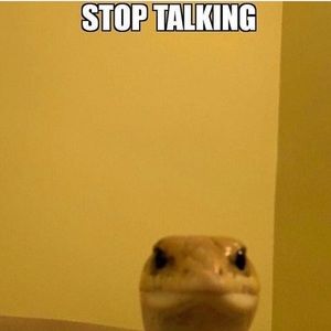 Meet your Posher, Auria